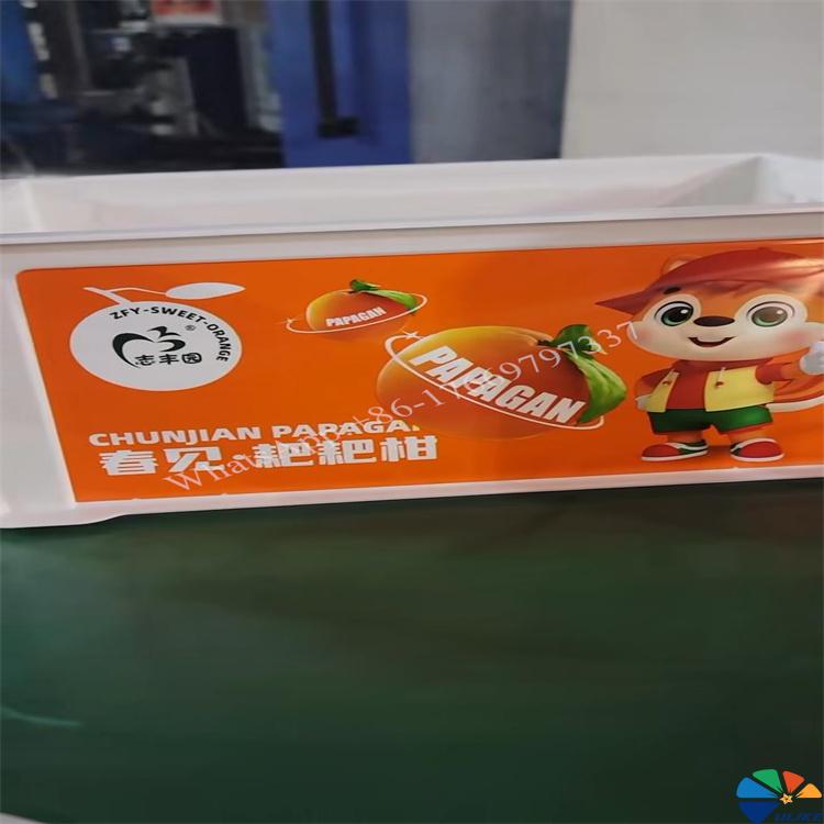 In Mold Label IML For Injection molded plastic fruit basket plastic square basket sugar orange orange packaging basket